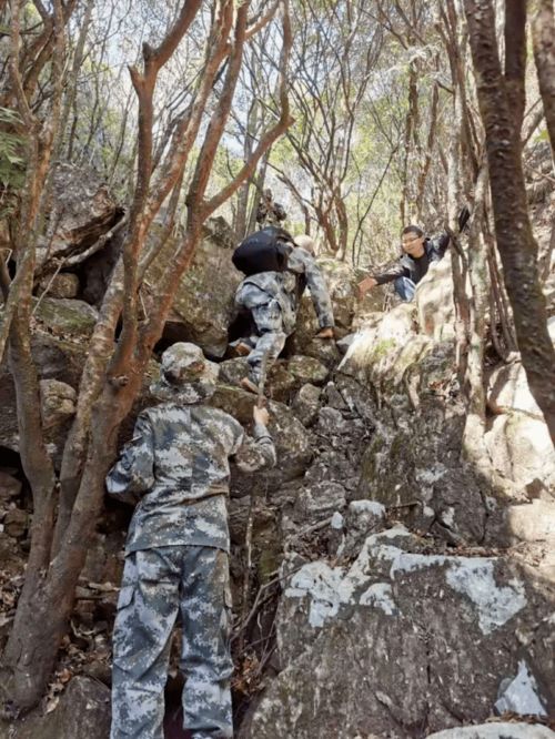 福建省林木种质资源普查进入省级复核新阶段 全面摸清家底，夯实生态根基