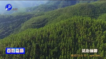 自己种的林木不可随意砍伐，非法采伐将被刑拘！